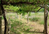 Xalet independent amb terreny en venda a la España, Pontevedra, ref.: TR163149 foto
