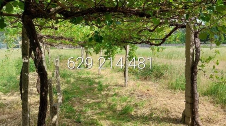 Pontevedra - Pontevedra - 817m2