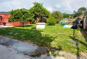 Foto 11