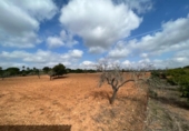 Casa de campo con terreno en venta en la España, Sineu, ref: TR304397 foto