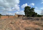 Casa de campo con terreno en venta en la España, Sineu, ref: TR304397 foto