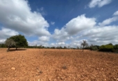 Casa de campo con terreno en venta en la España, Sineu, ref: TR304397 foto