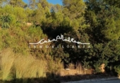 Sòl urbà en venda a la España, Altea, ref.: TR240292 foto