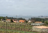 Xalet independent amb terreny en venda a la España, Cambados, ref.: TR161897 foto
