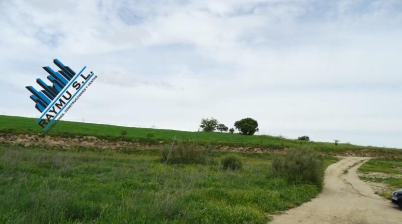 Toledo - Casarrubios del Monte - 31224m2