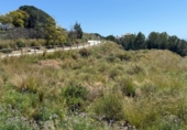 Casa amb terreny en venda a la España, Mijas, ref.: TR286665 foto