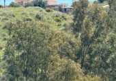Casa amb terreny en venda a la España, Mijas, ref.: TR286665 foto