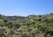 Terreno no urbanizable en venta en la España, Mijas, ref: TR285963 foto