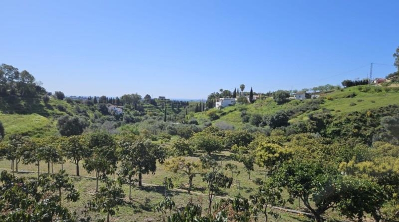 Malaga - Mijas - 7958m2