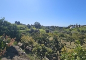 Terreno no urbanizable en venta en la España, Mijas, ref: TR285963 foto