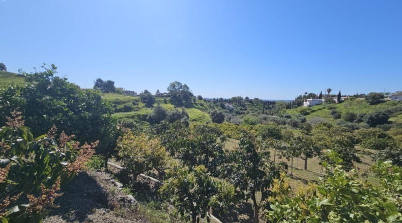 Malaga - Mijas - 7958m2