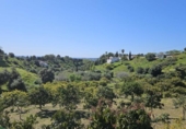Terreno no urbanizable en venta en la España, Mijas, ref: TR285963 foto