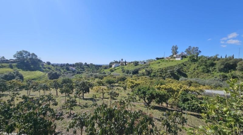 Malaga - Mijas - 7958m2