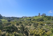 Terreno no urbanizable en venta en la España, Mijas, ref: TR285963 foto