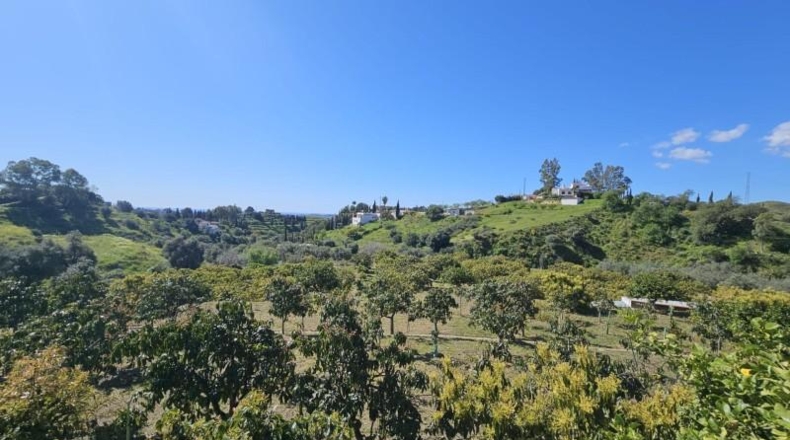 Malaga - Mijas - 7958m2