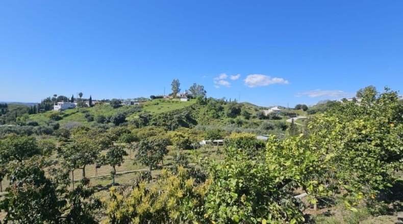 Malaga - Mijas - 7958m2