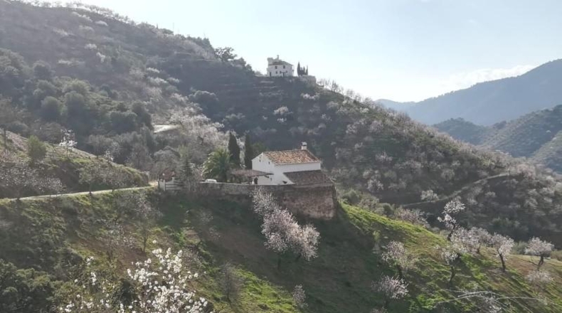 Malaga - Málaga - 100000m2