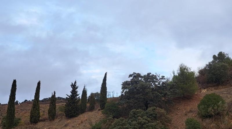 Malaga - Málaga - 100000m2