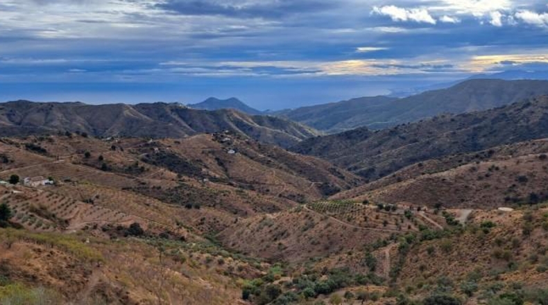 Malaga - Málaga - 100000m2