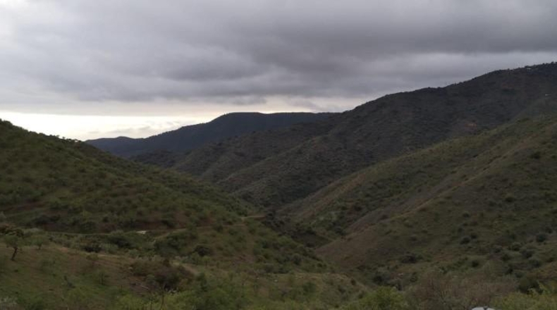 Malaga - Málaga - 100000m2