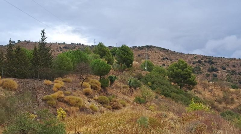Malaga - Málaga - 100000m2