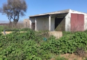 Terreny no urbanitzable en venda a la España, Chipiona, ref.: TR223764 foto