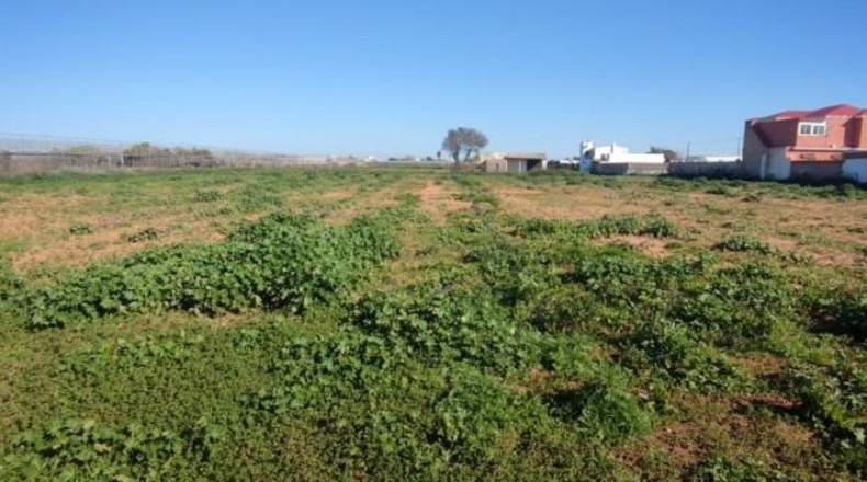 Cádiz - Chipiona - 13800m2