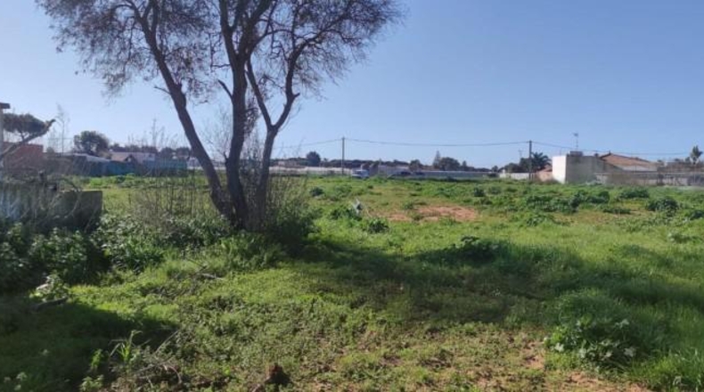 Cádiz - Chipiona - 13800m2