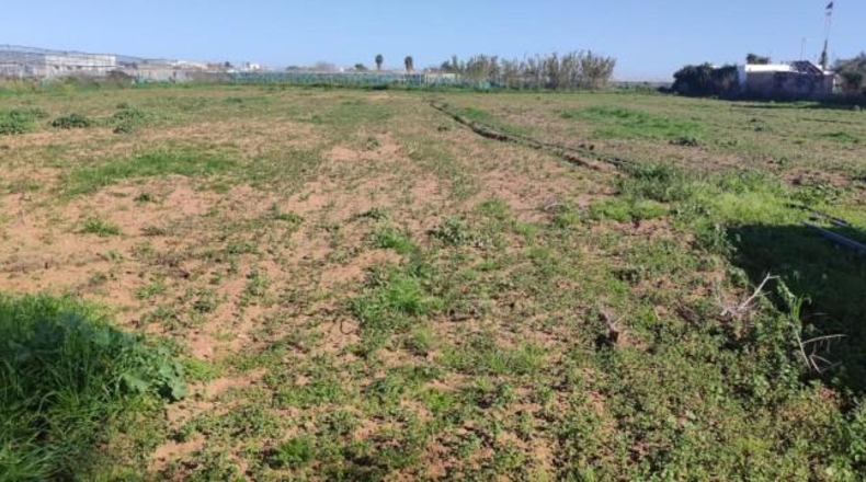 Cádiz - Chipiona - 13800m2