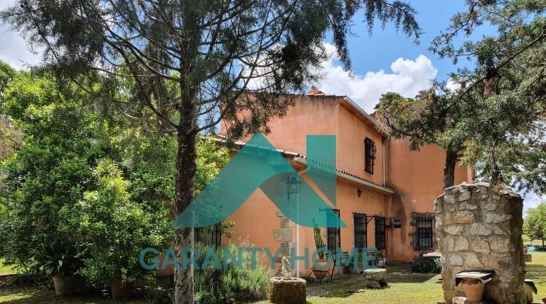 Cáceres - Arroyo de la Luz - 10000m2