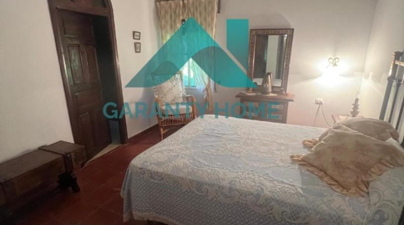 Cáceres - Arroyo de la Luz - 10000m2
