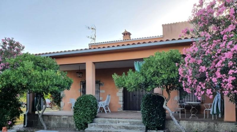 Cáceres - Arroyo de la Luz - 8700m2
