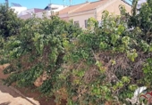 Xalet independent amb terreny en venda a la España, Mèrida, ref.: TR143563 foto