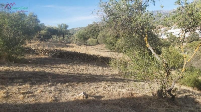 Cadiz - Ubrique - 10000m2