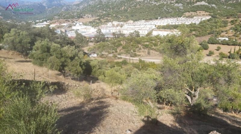 Cadiz - Ubrique - 10000m2