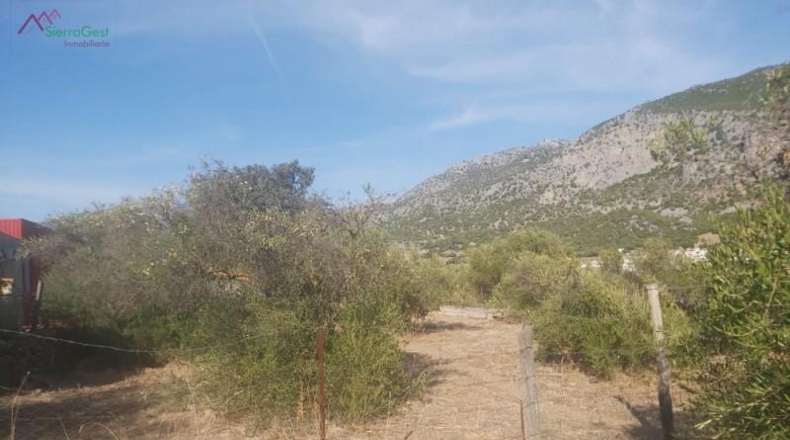 Cadiz - Ubrique - 10000m2