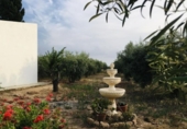Casa de camp amb terreny en venda a la España, Fuente Álamo, ref.: TR136380 foto