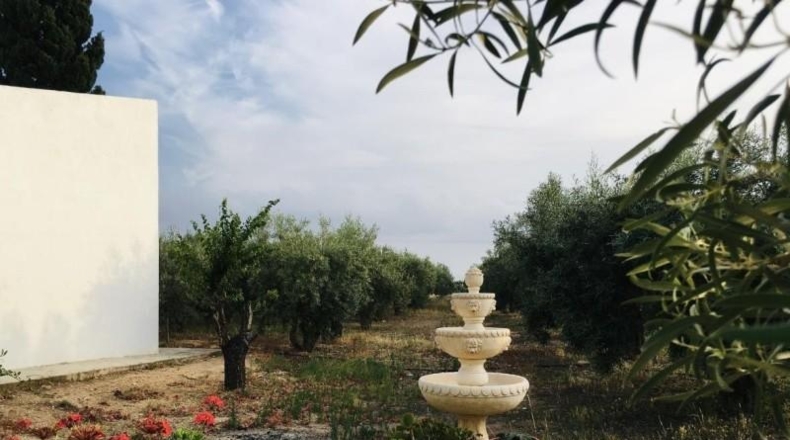 Murcia - Fuente Álamo de Murcia - 50000m2