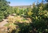 Casa de camp amb terreny en venda a la España, Lucena, ref.: TR140476 foto