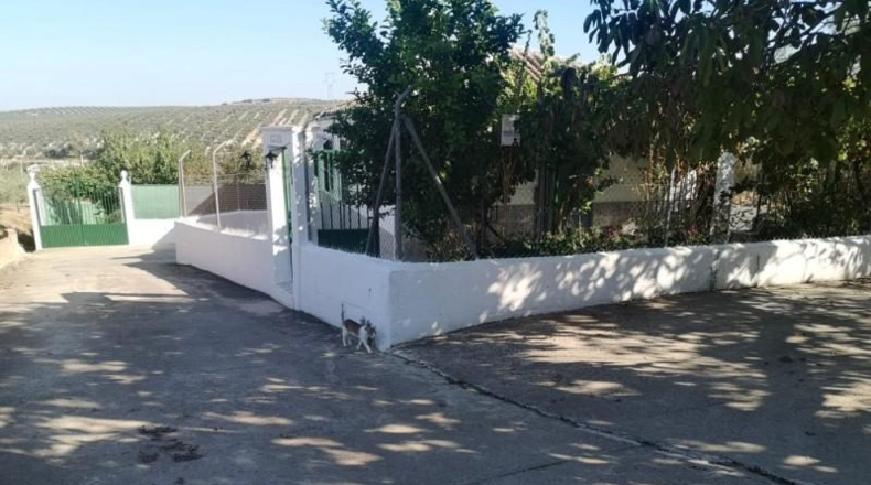 Córdoba - Lucena - 83m2