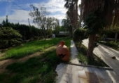 Chalet independiente con terreno en venta en la España, Novelda, ref: TR256366 foto