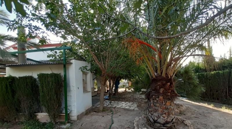 Alicante - Novelda - 2000m2