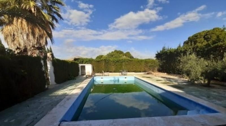 Alicante - Novelda - 2000m2