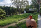 Chalet independiente con terreno en venta en la España, Novelda, ref: TR256366 foto