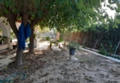 Chalet independiente con terreno en venta en la España, Novelda, ref: TR256366 foto