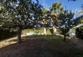 Chalet independiente con terreno en venta en la España, Novelda, ref: TR256366 foto