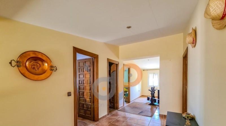 Murcia - Puerto Lumbreras - 10000m2