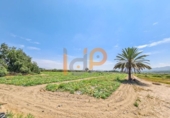 Finca rústica en venda a la España, Pulpí, ref.: TR375817 foto