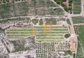 Finca rústica en venda a la España, Pulpí, ref.: TR375817 foto