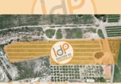 Finca rústica en venda a la España, Pulpí, ref.: TR375817 foto